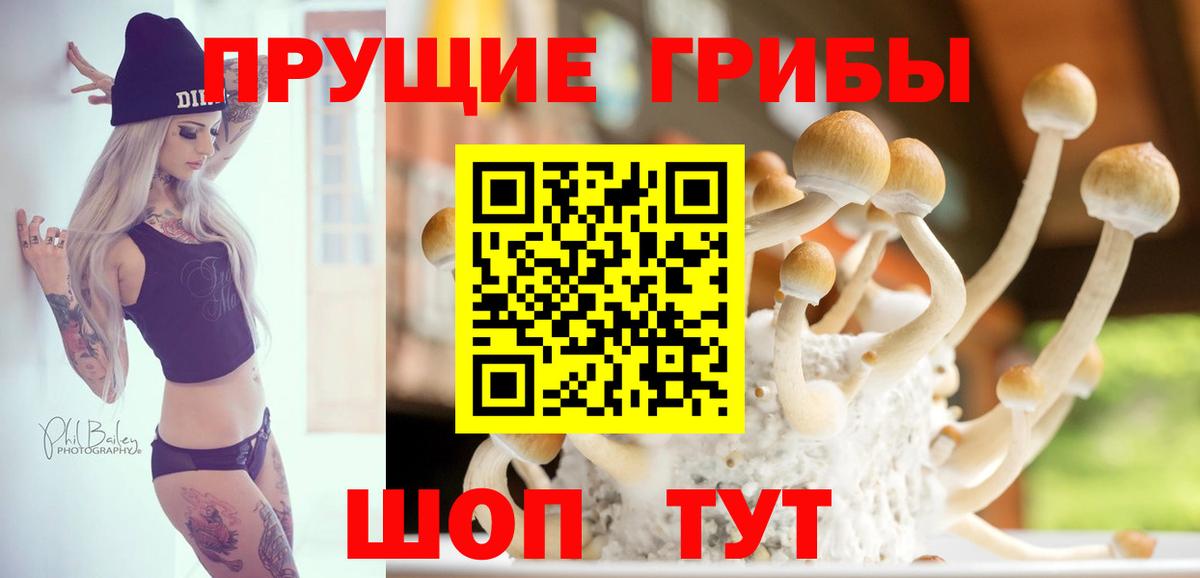 Псилоцибиновые грибы MAGIC MUSHROOMS  Вход с VPN  Донской 